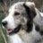 Hilde