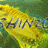 Shinzo