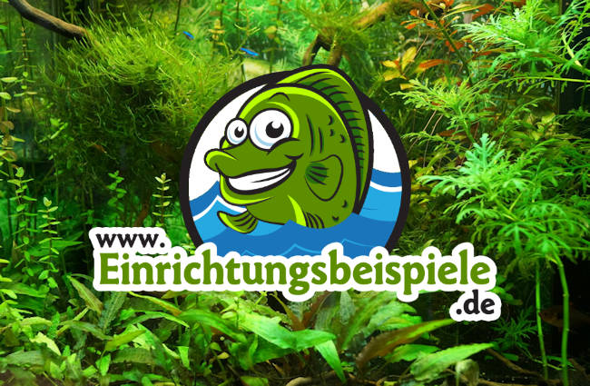www.einrichtungsbeispiele.de