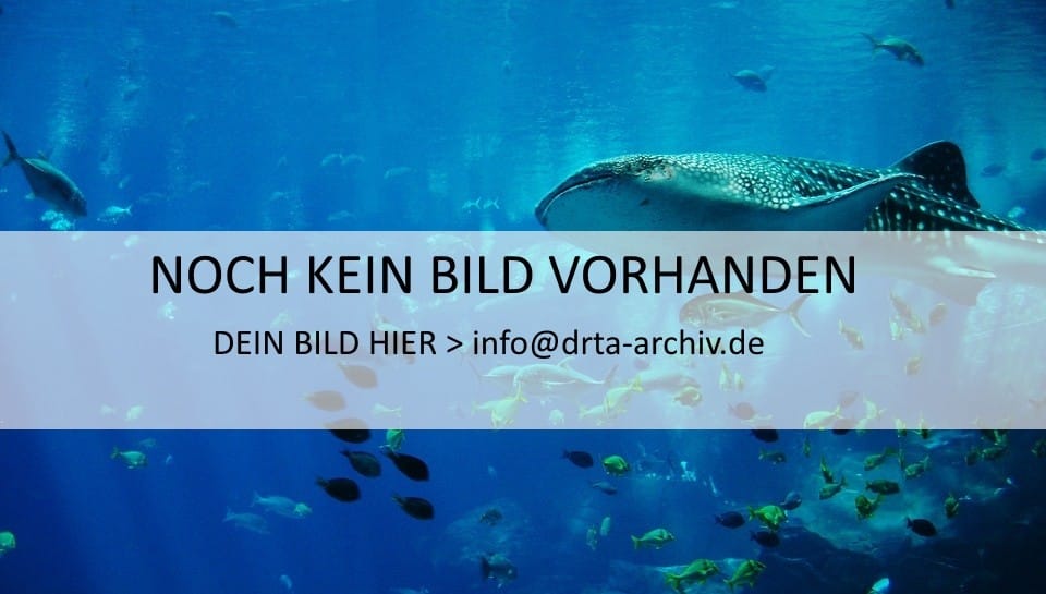www.drta-archiv.de