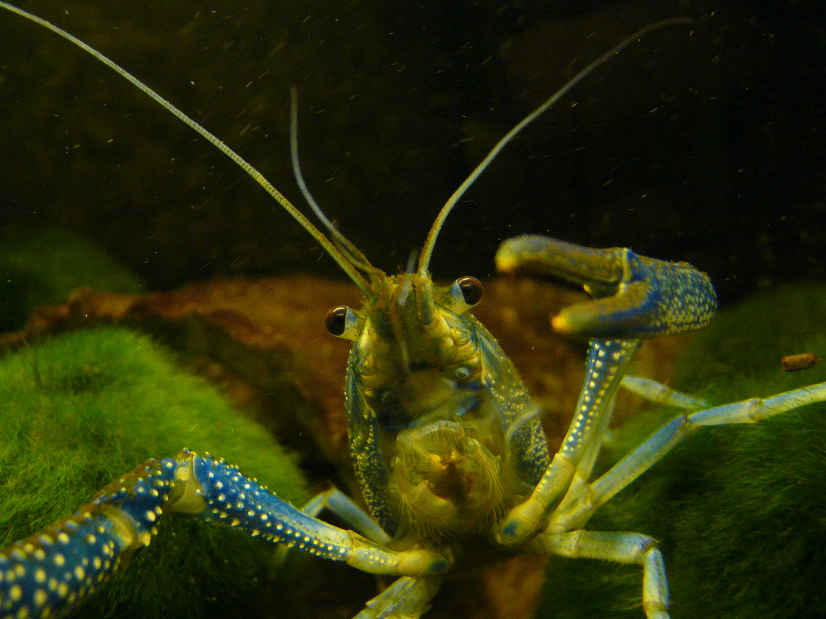 p1000107.jpg