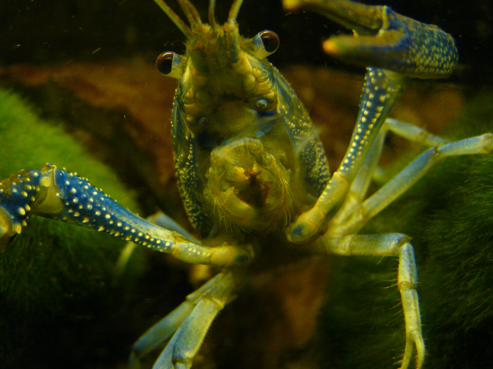 p1000108.jpg
