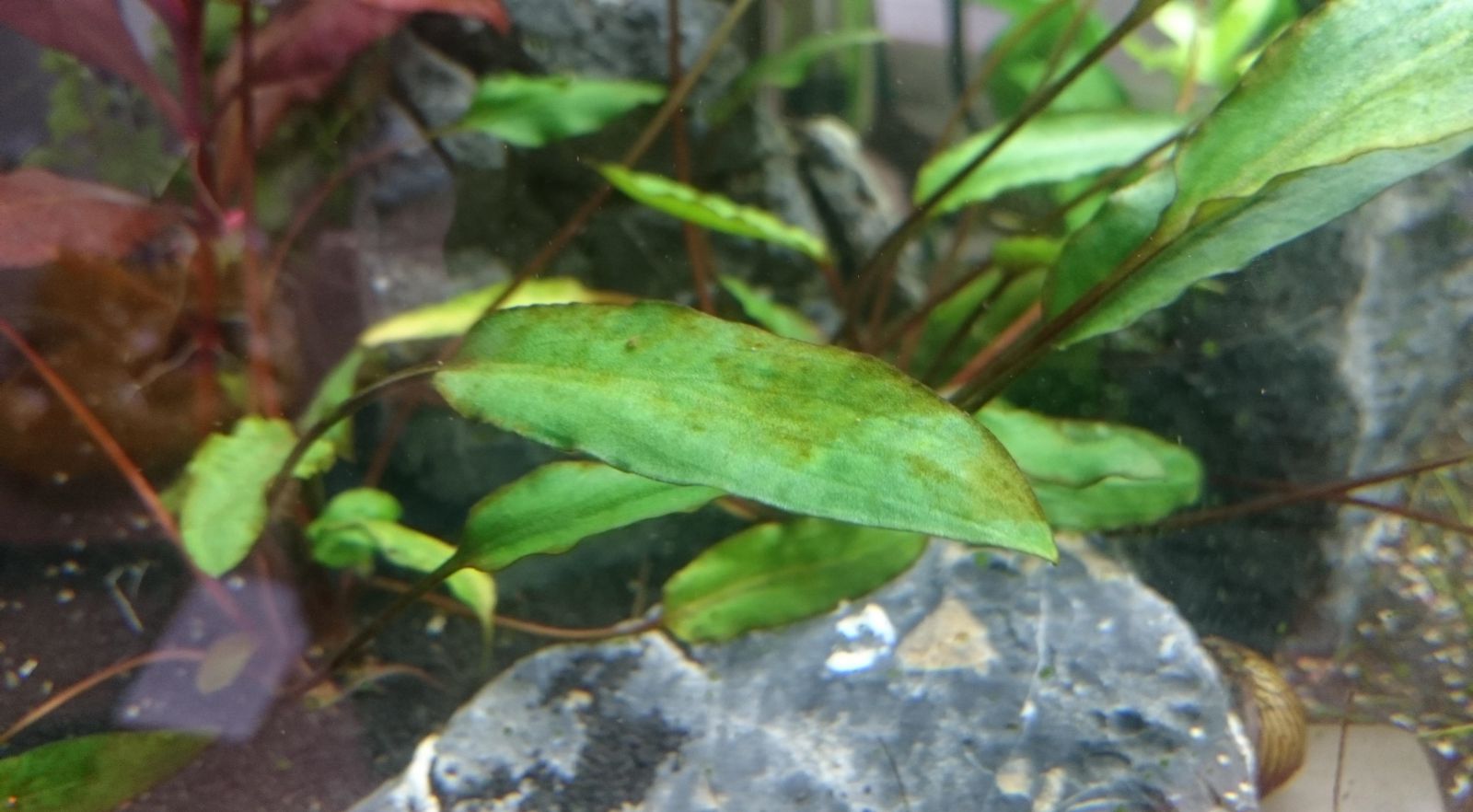 www.aquasabi.de