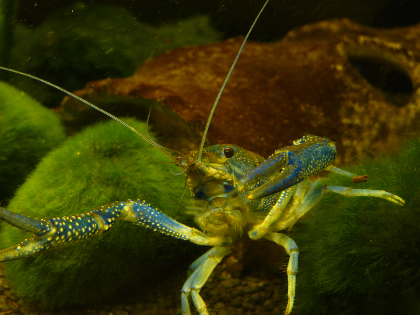 p1000100.jpg