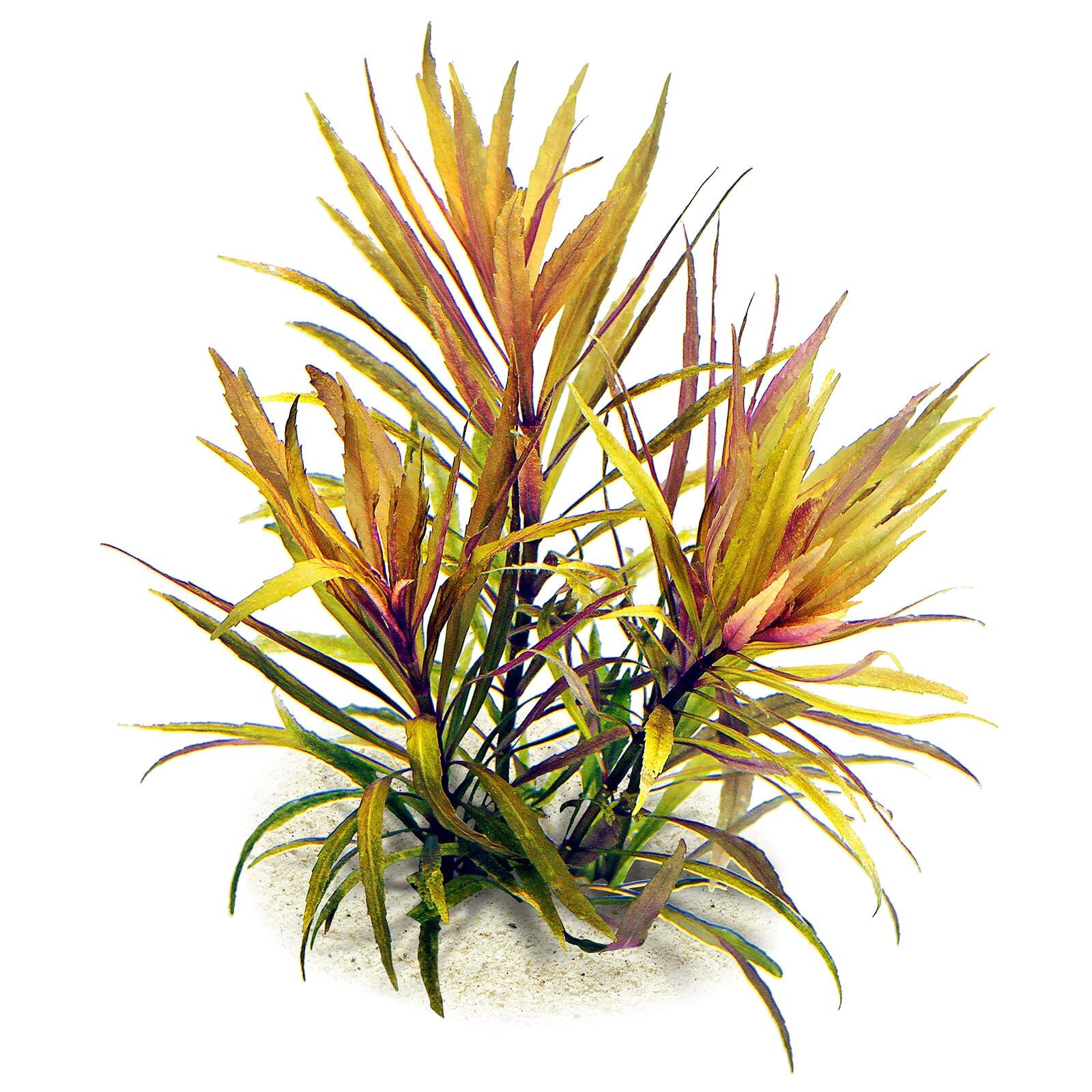 www.aquasabi.de