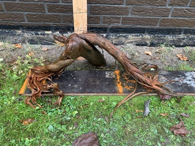 www.ebay.de