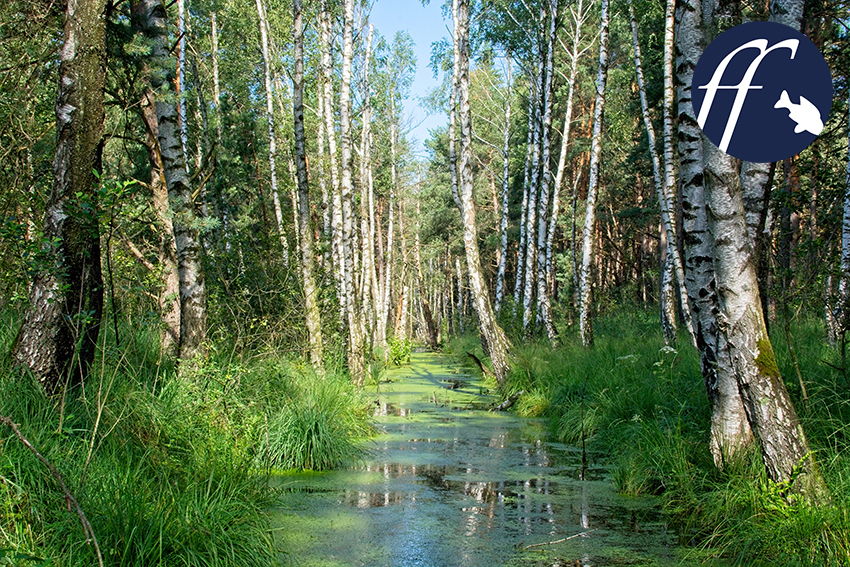 www.aqualog.de