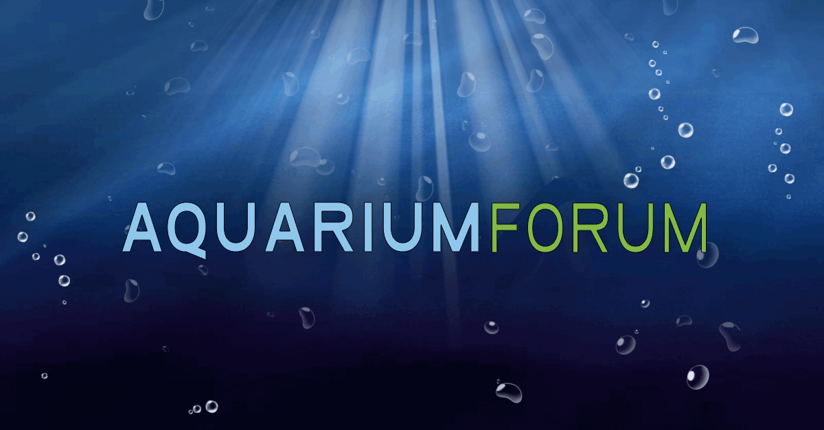 www.aquariumforum.de